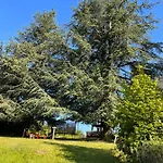 Casa vacanze Domaine Le Manoir, De Charme Et De Caractère Avec Piscines Privatisées Et Nordique