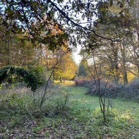 Domaine Le Manoir, De Charme Et De Caractere Avec Piscines Privatisees Et Nordique Ferienhaus